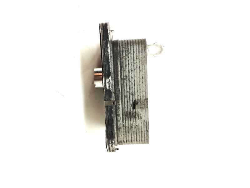 Recambio de radiador aceite para jaguar xe 2.0 diesel cat referencia OEM IAM G4D36A642BA  