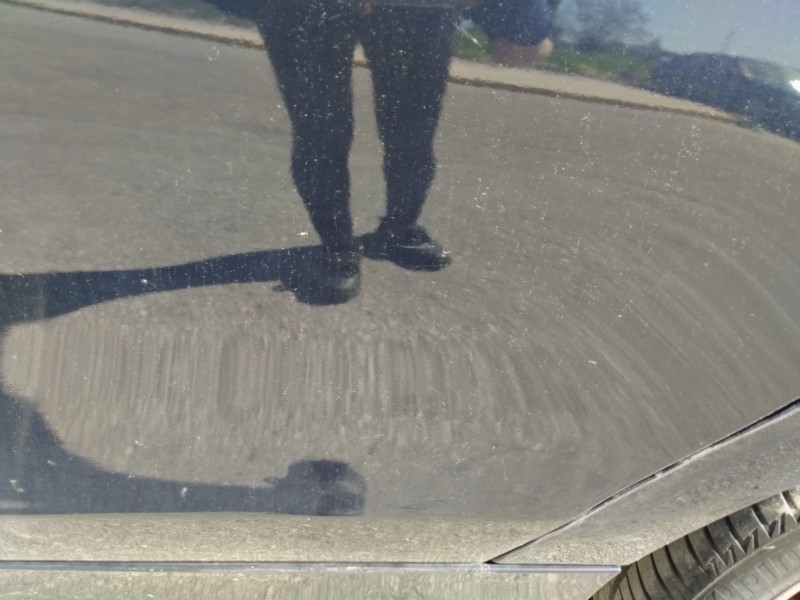 Recambio de puerta trasera izquierda para bmw serie 1 berlina (e81/e87) 2.0 turbodiesel cat referencia OEM IAM   