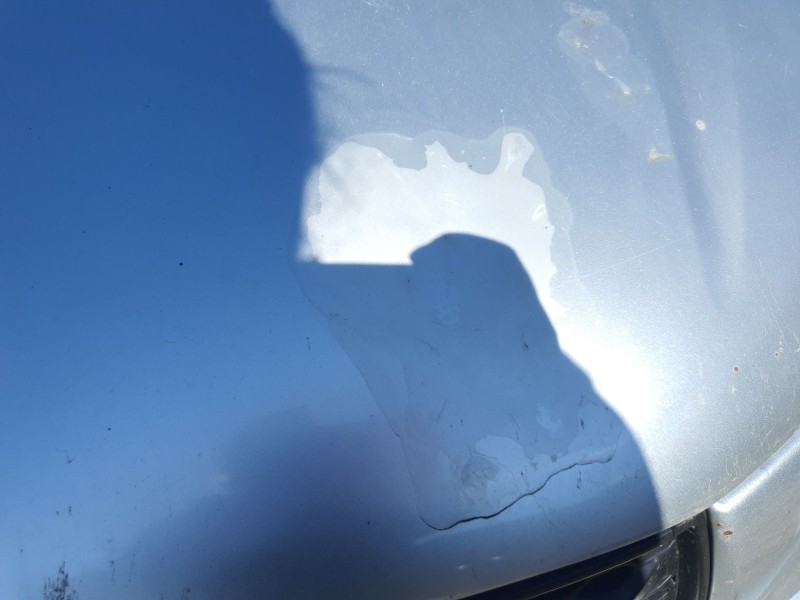 Recambio de capot para toyota rav 4 ii (_a2_) 1.8 (zca25_, zca26_) referencia OEM IAM   