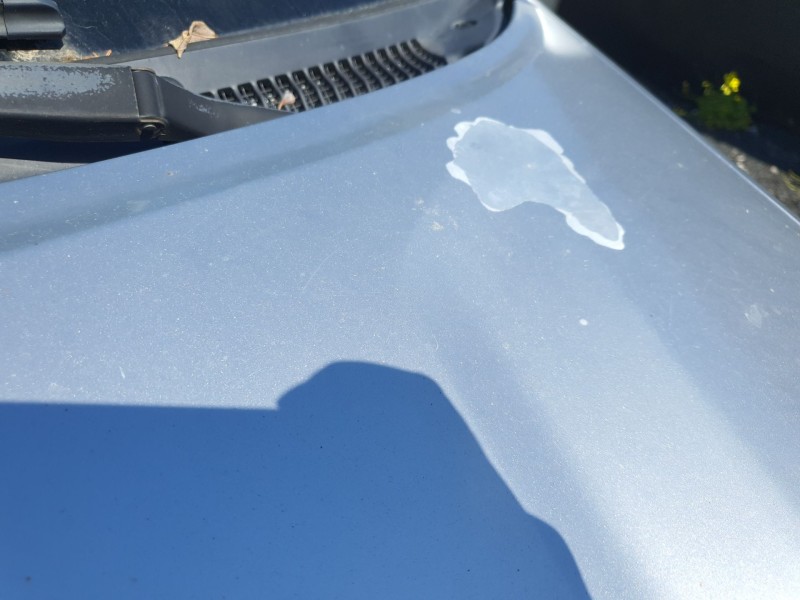 Recambio de capot para toyota rav 4 ii (_a2_) 1.8 (zca25_, zca26_) referencia OEM IAM   