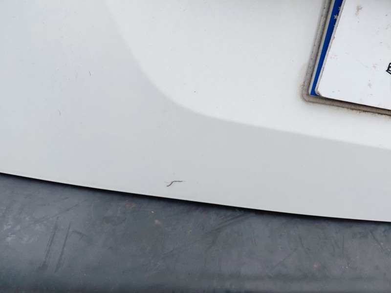 Recambio de porton trasero para citroën berlingo furgoneta/monovolumen (b9) 1.6 bluehdi 100 referencia OEM IAM   
							