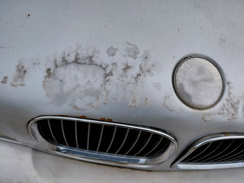 Recambio de capot para bmw 5 (e39) 530 d referencia OEM IAM   