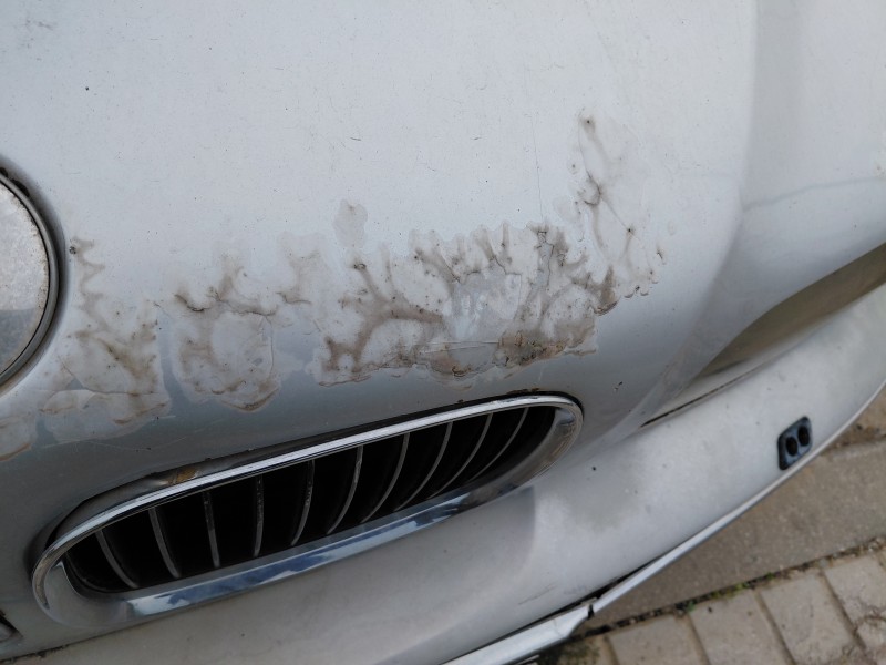 Recambio de capot para bmw 5 (e39) 530 d referencia OEM IAM   