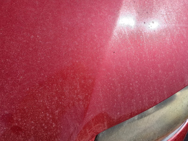 Recambio de capot para audi a3 (8p) 2.0 tdi referencia OEM IAM   
							