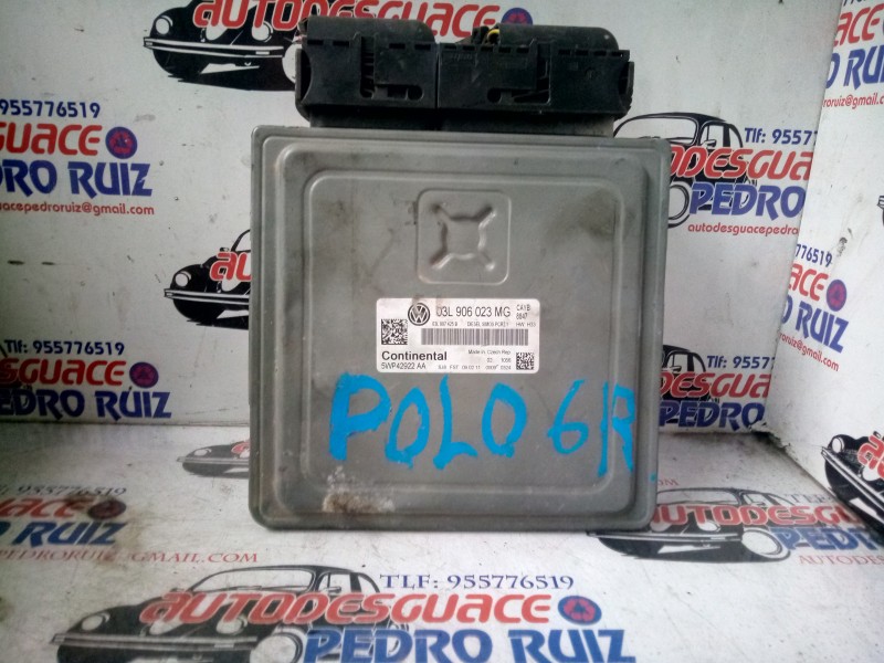 Recambio de centralita motor uce para volkswagen polo (6r1) 1.6 tdi dpf referencia OEM IAM 03L906023  
							