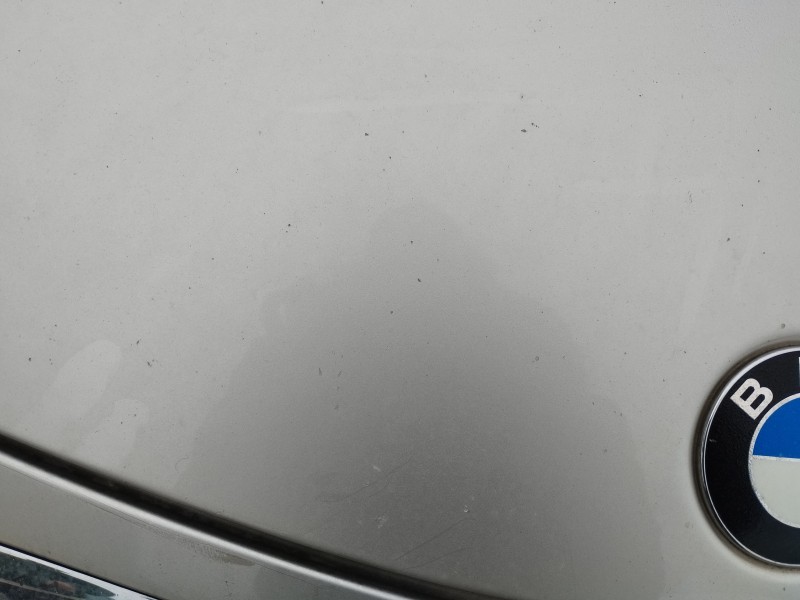 Recambio de capot para bmw serie 6 cabrio (e64) 645ci referencia OEM IAM   
							