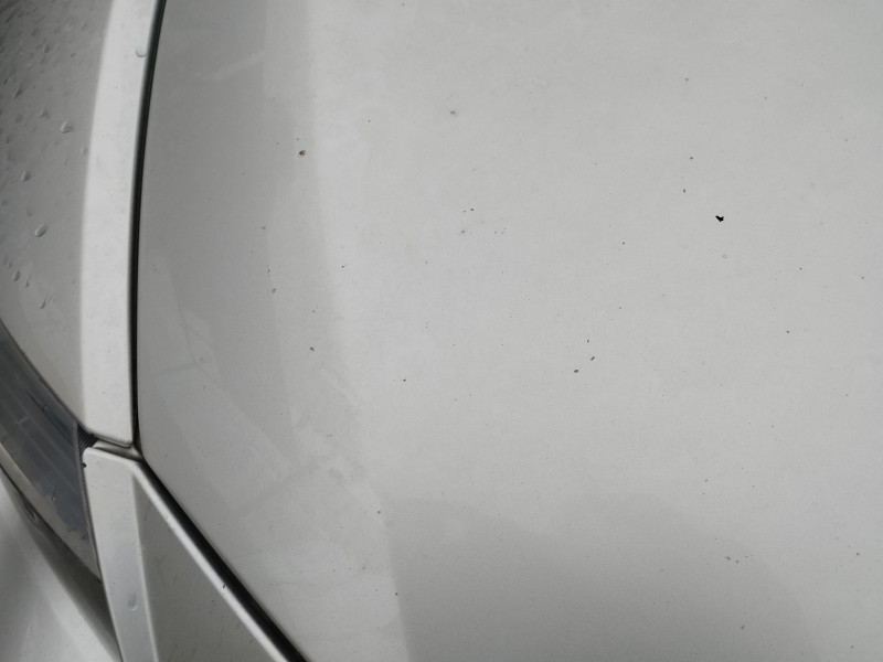 Recambio de capot para bmw serie 6 cabrio (e64) 645ci referencia OEM IAM   
							