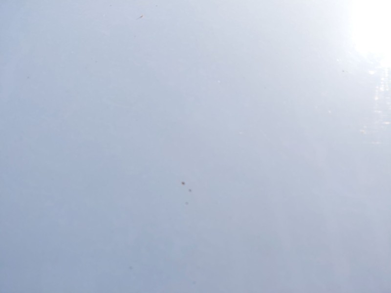 Recambio de capot para chevrolet lacetti (j200) 2.0 d referencia OEM IAM   