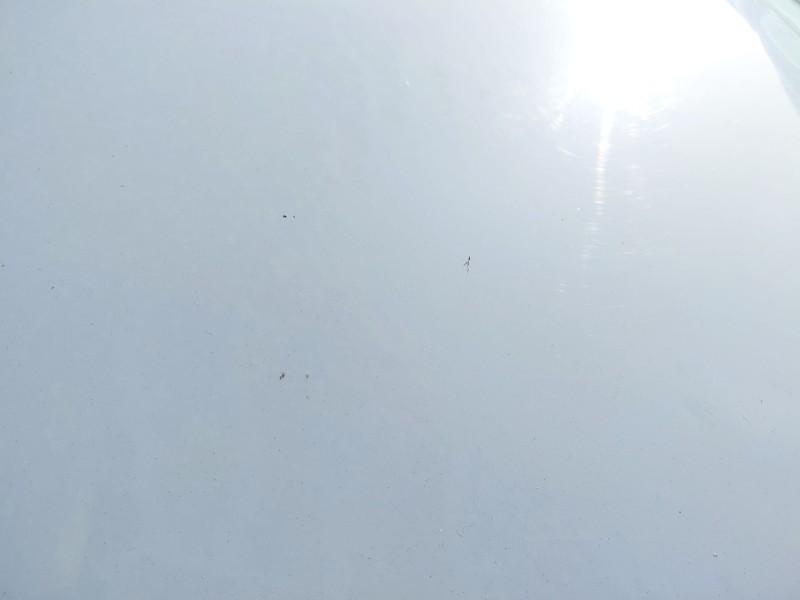 Recambio de capot para chevrolet lacetti (j200) 2.0 d referencia OEM IAM   