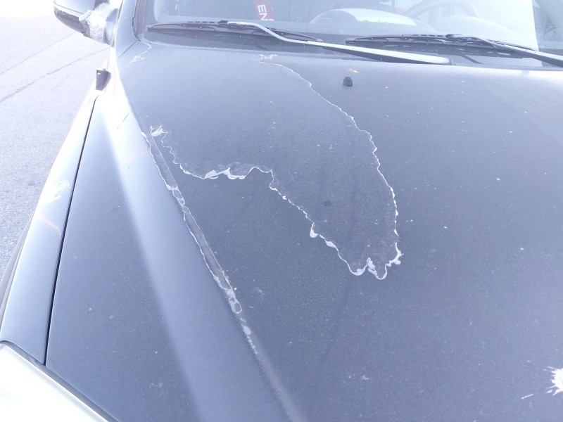 Recambio de capot para kia sorento i (jc) 2.5 crdi referencia OEM IAM   