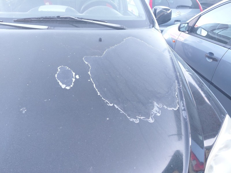 Recambio de capot para kia sorento i (jc) 2.5 crdi referencia OEM IAM   