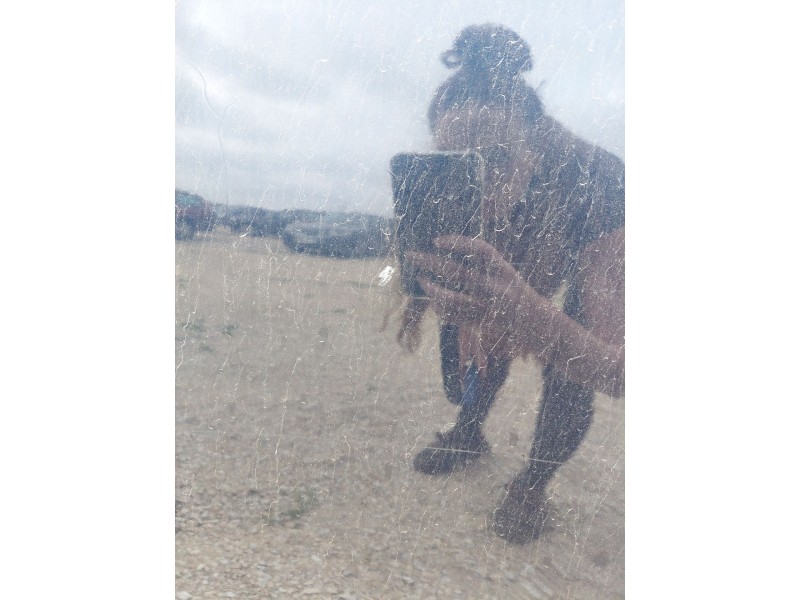 Recambio de puerta trasera izquierda para peugeot 3008 i monospace (0u_) 1.6 hdi referencia OEM IAM   