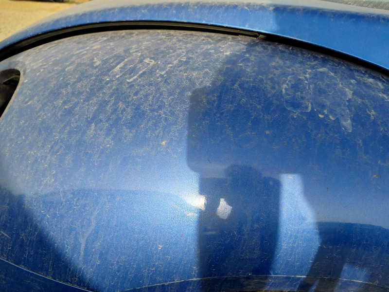 Recambio de aleta delantera izquierda para volkswagen new beetle (9c1, 1c1) 1.9 tdi referencia OEM IAM   