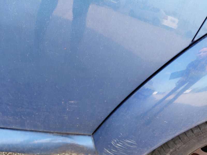 Recambio de puerta delantera derecha para volkswagen new beetle (9c1, 1c1) 1.9 tdi referencia OEM IAM   
							