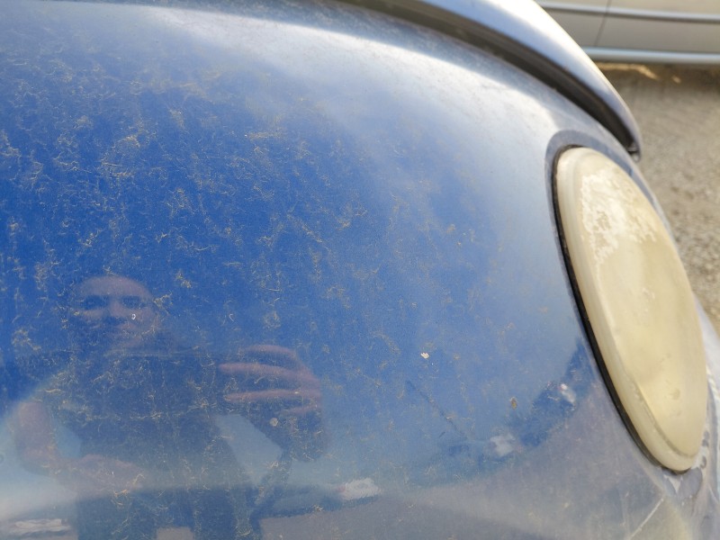 Recambio de aleta delantera derecha para volkswagen new beetle (9c1, 1c1) 1.9 tdi referencia OEM IAM   