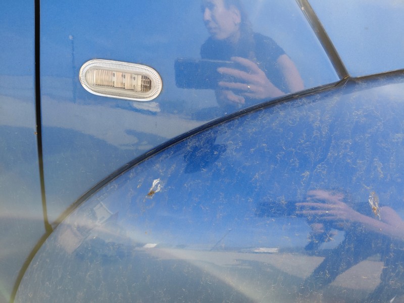 Recambio de aleta delantera derecha para volkswagen new beetle (9c1, 1c1) 1.9 tdi referencia OEM IAM   