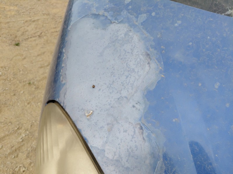 Recambio de capot para peugeot 807 (eb_) 2.0 hdi referencia OEM IAM   