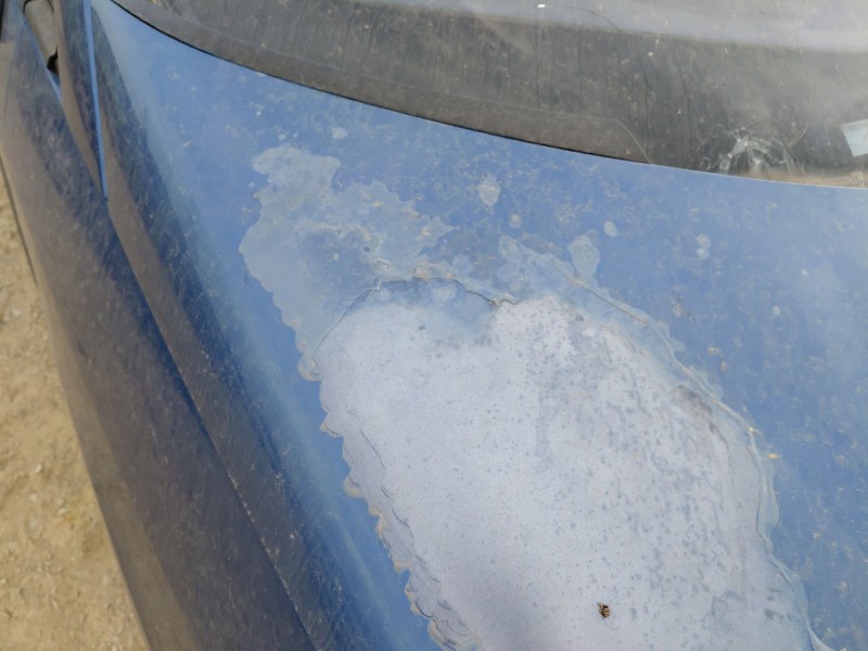 Recambio de capot para peugeot 807 (eb_) 2.0 hdi referencia OEM IAM   