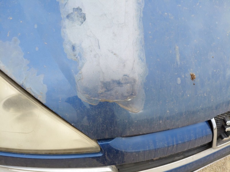 Recambio de capot para peugeot 807 (eb_) 2.0 hdi referencia OEM IAM   