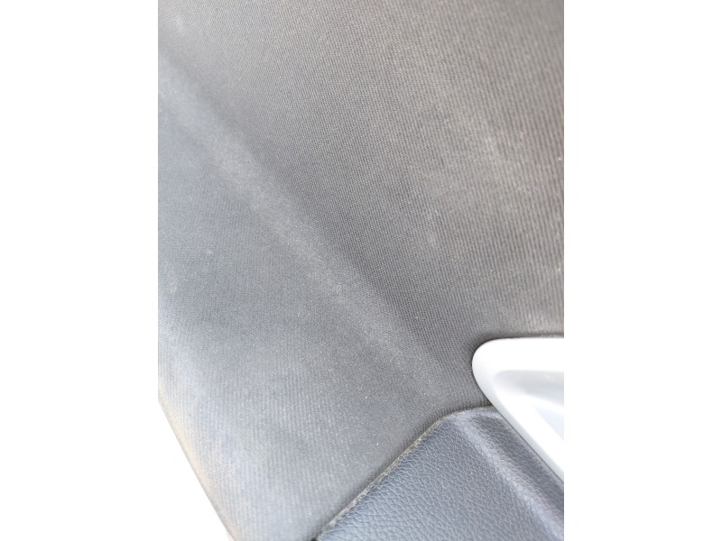 Recambio de guarnecido puerta delantera izquierda para skoda fabia ii (542) 1.2 referencia OEM IAM   