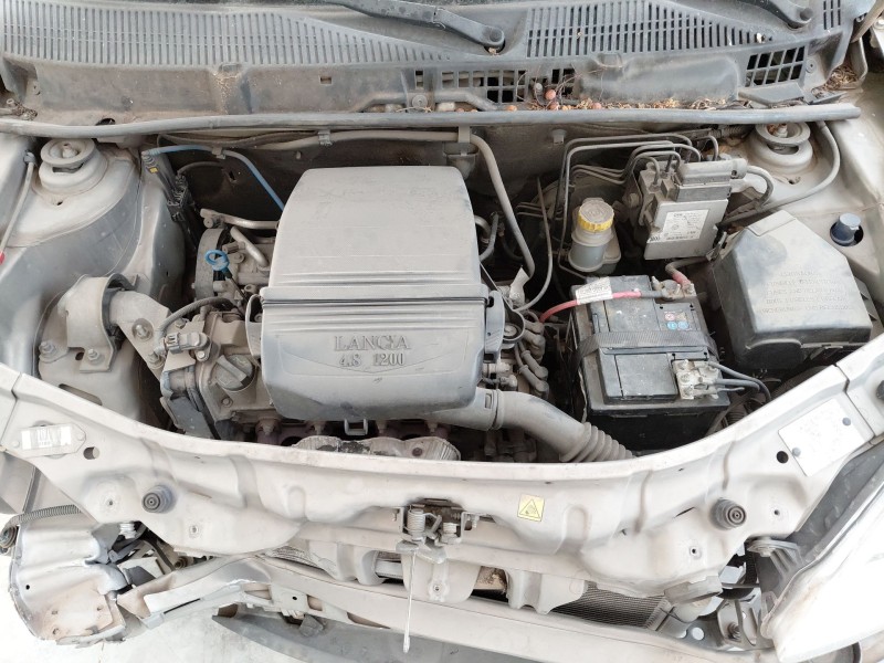 lancia ypsilon (843_) del año 2025
							