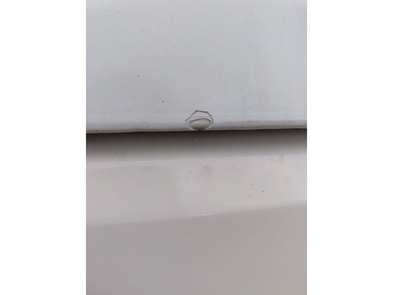 Recambio de capot para land rover discovery iv (l319) 2.7 td 4x4 referencia OEM IAM   