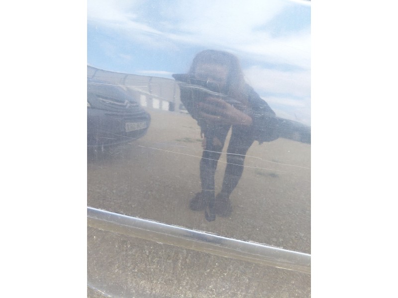 Recambio de puerta trasera derecha para volkswagen golf v (1k1) 1.9 tdi referencia OEM IAM   