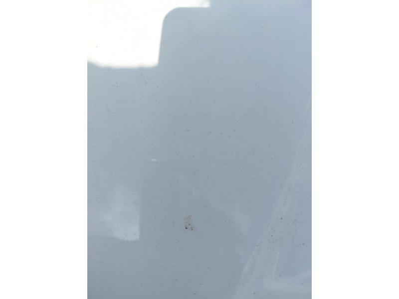 Recambio de capot para nissan pathfinder iii (r51) 2.5 dci 4wd referencia OEM IAM   