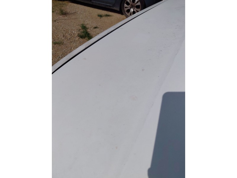 Recambio de capot para nissan pathfinder iii (r51) 2.5 dci 4wd referencia OEM IAM   