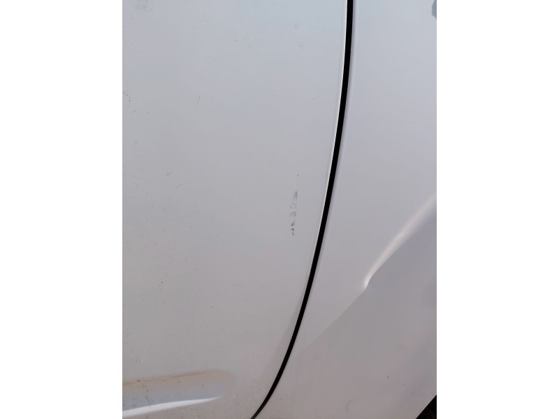 Recambio de puerta delantera derecha para nissan pathfinder iii (r51) 2.5 dci 4wd referencia OEM IAM   