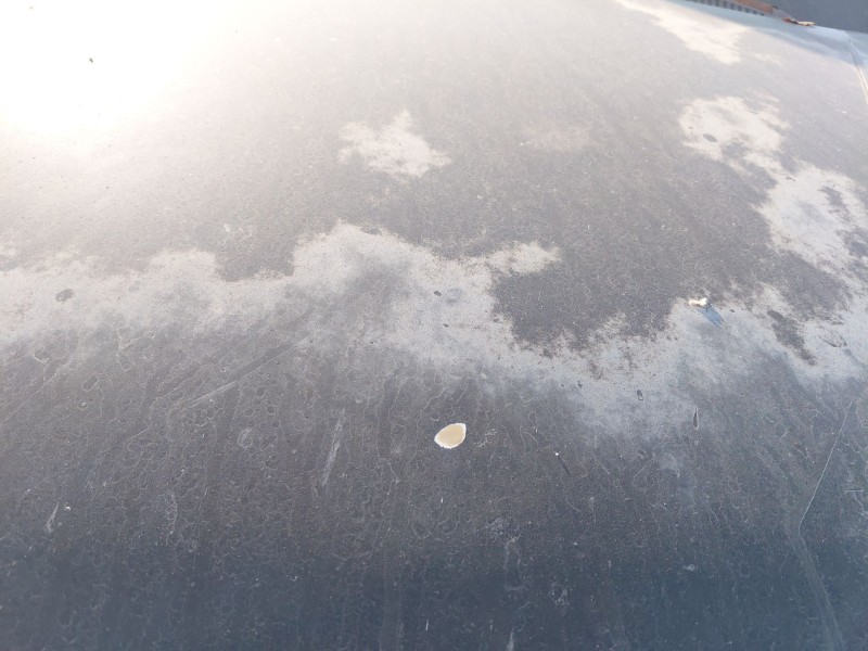 Recambio de capot para kia rio ii (jb) 1.5 crdi referencia OEM IAM   