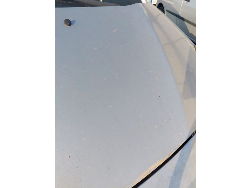 Recambio de capot para citroën c3 ii (sc_) 1.1 i referencia OEM IAM   
							