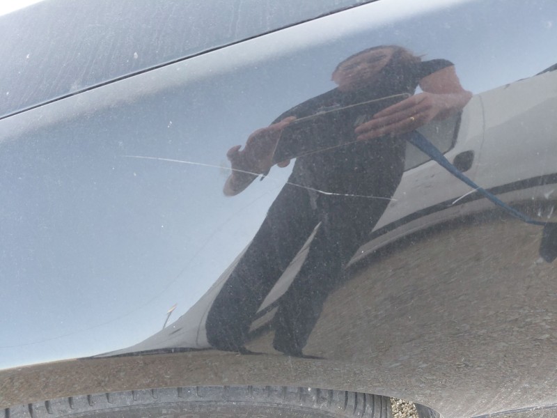 Recambio de aleta delantera izquierda para bmw 3 (e90) 320 d referencia OEM IAM   