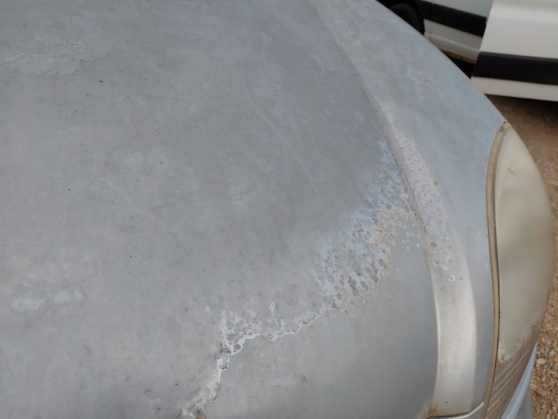 Recambio de capot para renault kangoo (kc0/1_) 1.5 dci (kc07) referencia OEM IAM   