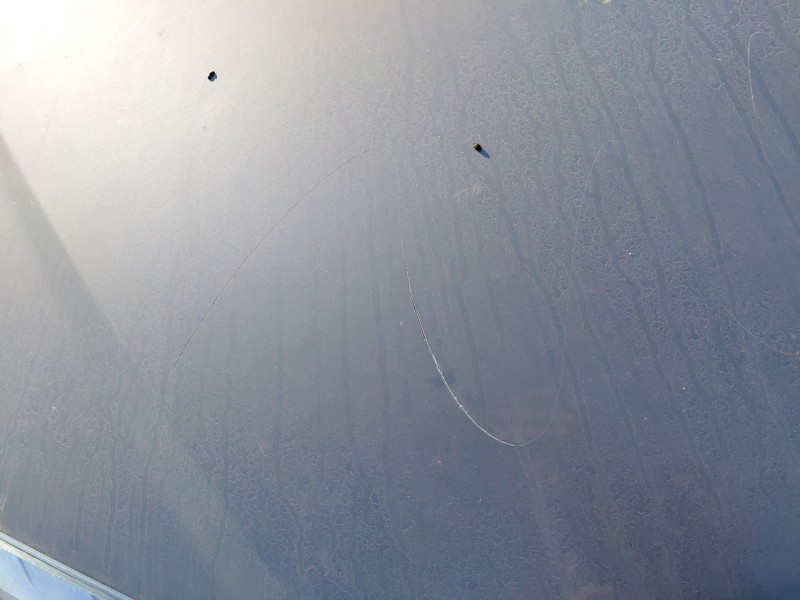 Recambio de capot para chevrolet aveo / kalos sedán (t250, t255) 1.4 referencia OEM IAM   