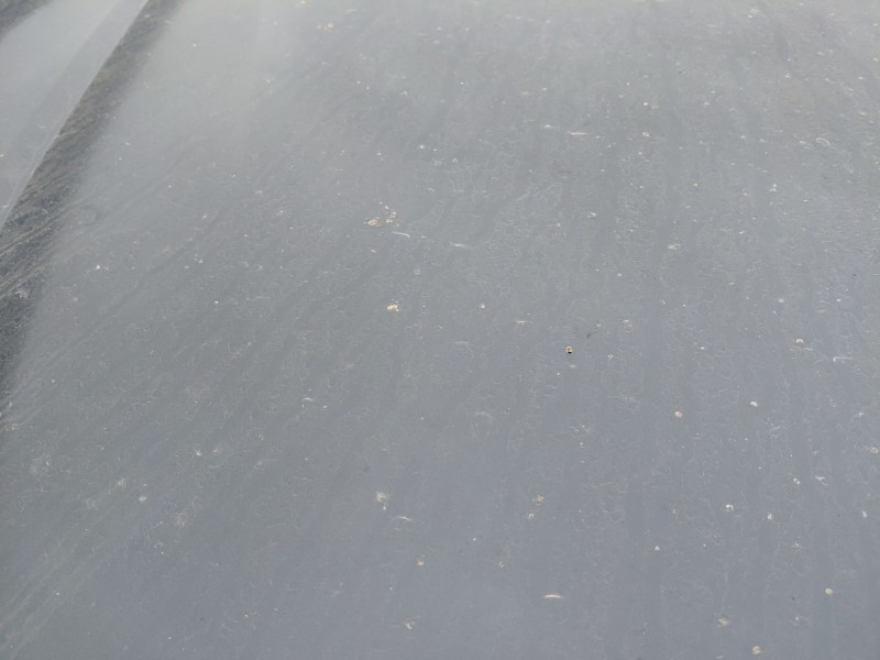 Recambio de capot para chevrolet epica (kl1_) 2.0 d referencia OEM IAM   
							