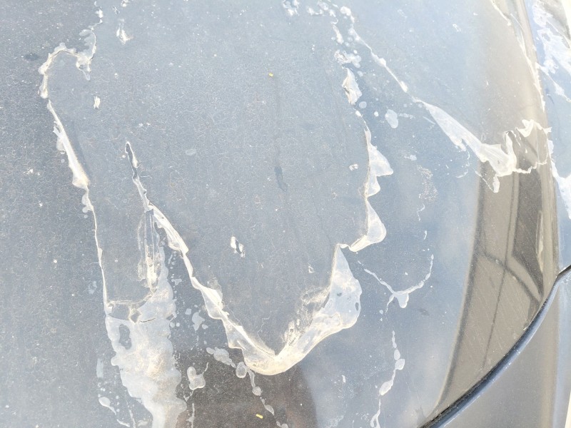 Recambio de capot para peugeot 207/207+ (wa_, wc_) 1.4 hdi referencia OEM IAM   