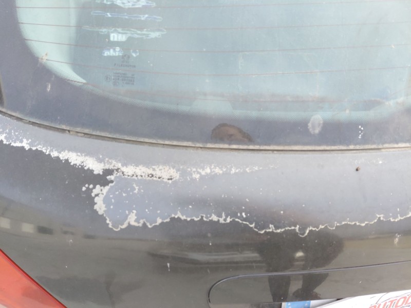 Recambio de porton trasero para peugeot 207/207+ (wa_, wc_) 1.4 hdi referencia OEM IAM   