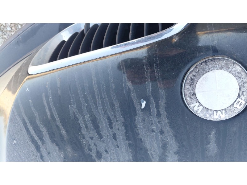 Recambio de capot para bmw 3 (e46) 320 d referencia OEM IAM   
							