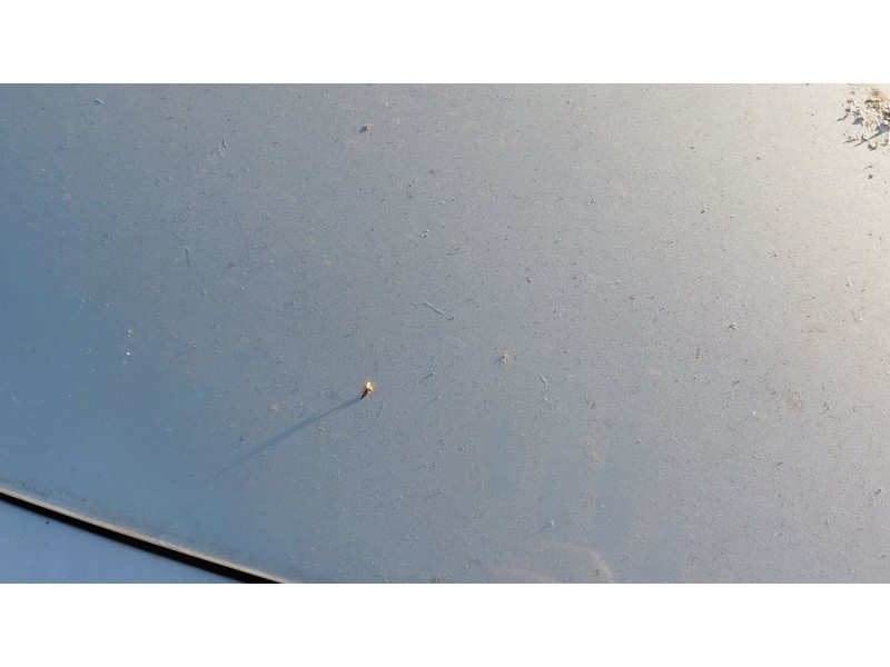 Recambio de capot para peugeot 308 sw i (4e_, 4h_) 1.6 hdi referencia OEM IAM   
							