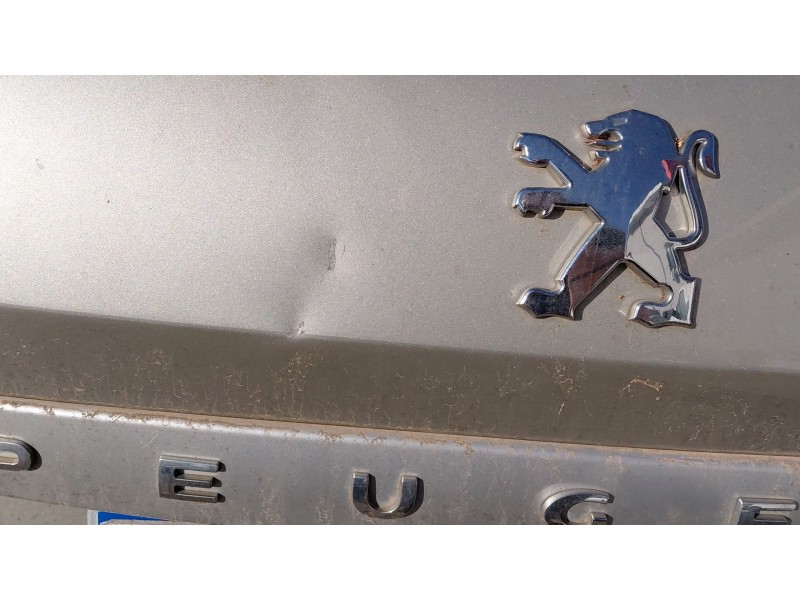 Recambio de porton trasero para peugeot 308 sw i (4e_, 4h_) 1.6 hdi referencia OEM IAM   
							