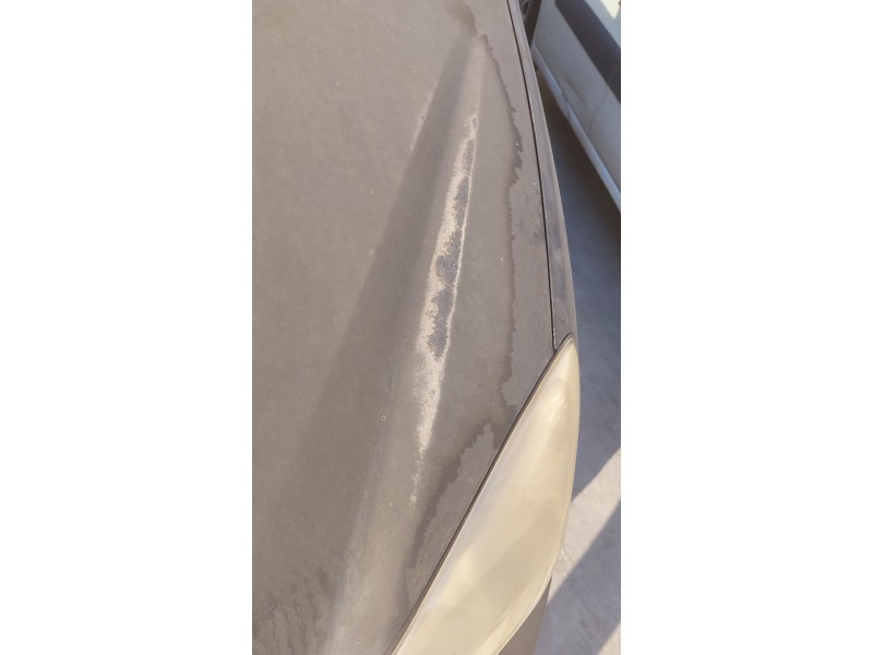 Recambio de capot para kia carens iii monospace (un) 2.0 crdi 140 referencia OEM IAM   