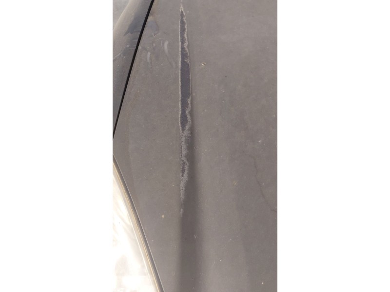 Recambio de capot para kia carens iii monospace (un) 2.0 crdi 140 referencia OEM IAM   