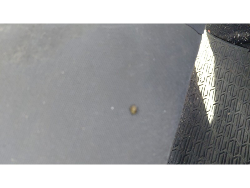 Recambio de asientos traseros para peugeot partner tepee 1.6 hdi / bluehdi 75 referencia OEM IAM   