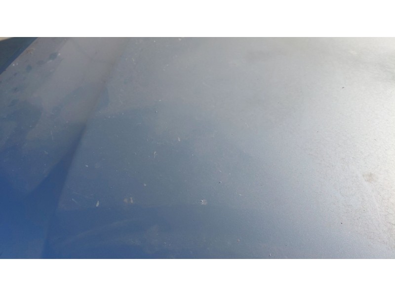 Recambio de capot para volkswagen passat b5.5 (3b3) 1.6 referencia OEM IAM   