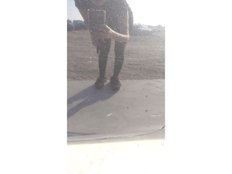 Recambio de puerta trasera izquierda para opel insignia a (g09) 2.0 cdti (68) referencia OEM IAM   