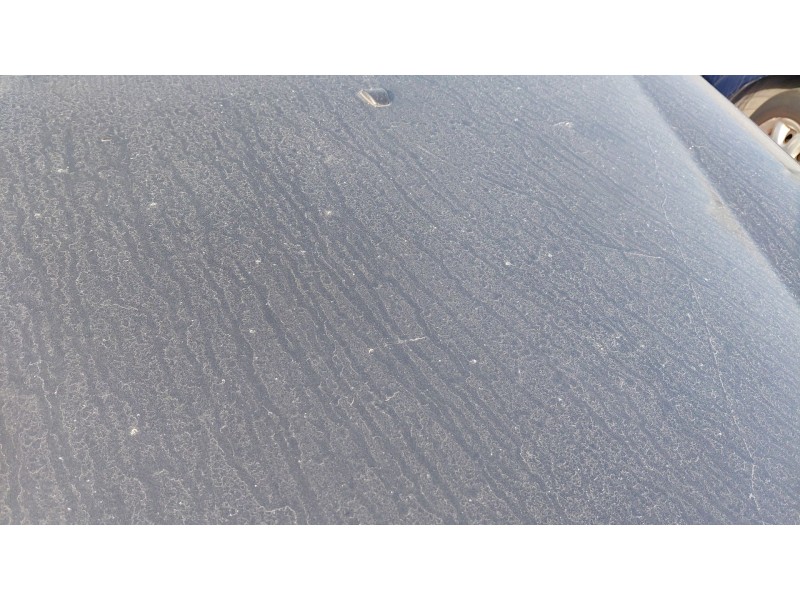 Recambio de capot para fiat bravo ii (198_) 1.9 d multijet (198axb1a) referencia OEM IAM   