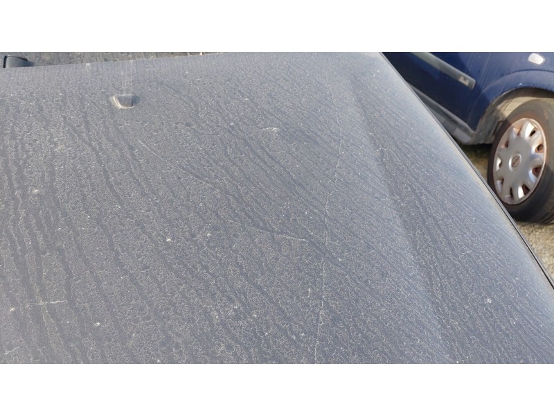 Recambio de capot para fiat bravo ii (198_) 1.9 d multijet (198axb1a) referencia OEM IAM   