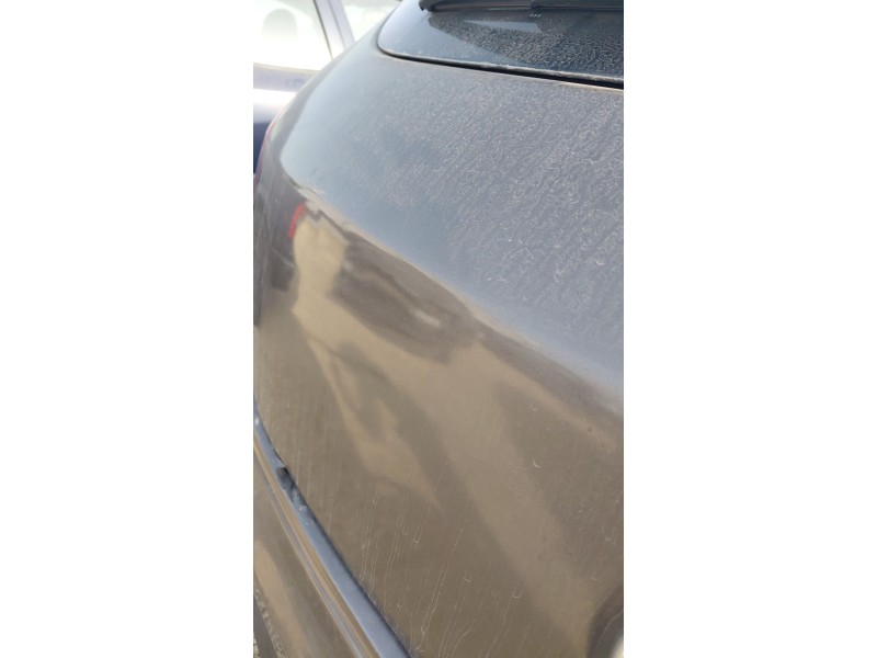 Recambio de porton trasero para fiat bravo ii (198_) 1.9 d multijet (198axb1a) referencia OEM IAM   