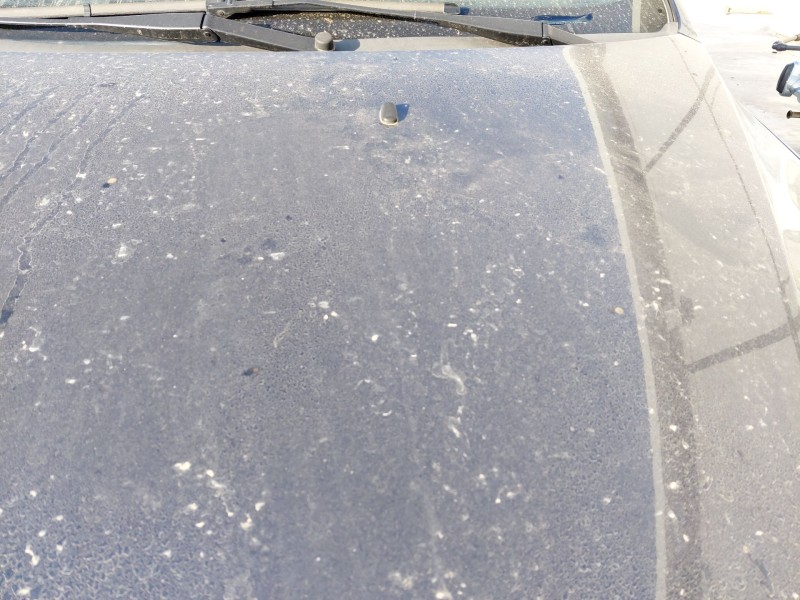 Recambio de capot delantero para ford focus ii (da_, hcp, dp) 1.6 referencia OEM IAM   